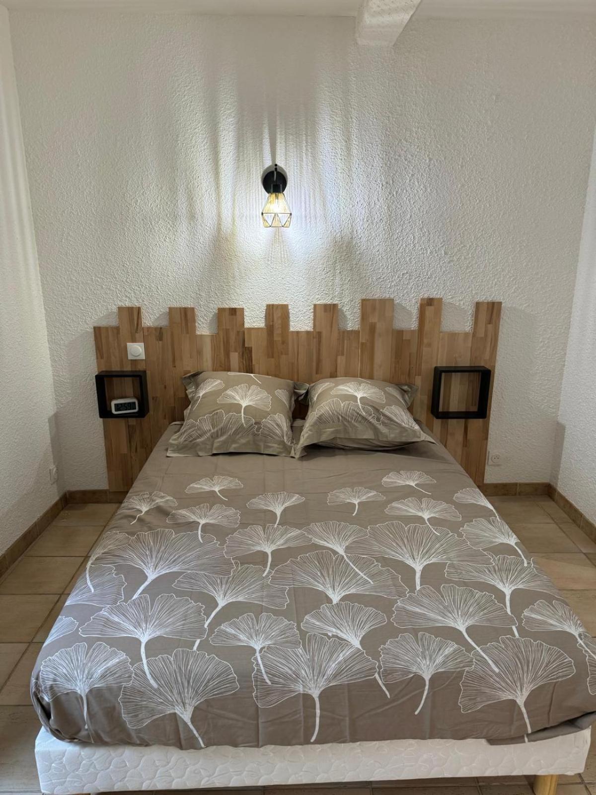Charmant Appartement En Hypercentre De Castelnaudary Luaran gambar